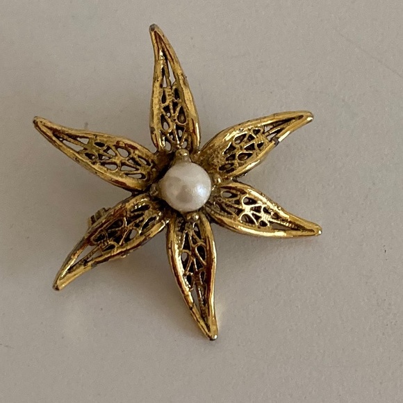 Jewelry - Pearl Star Broche